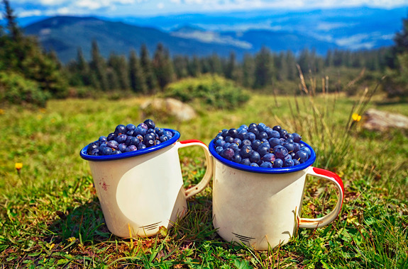 Картинка драгобрат ягодки