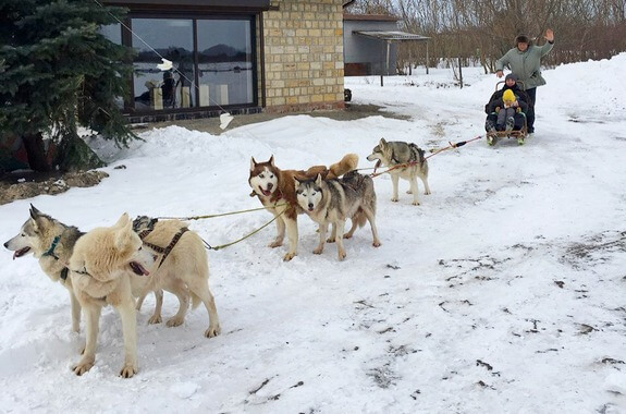 Зображення тур до Хаскі