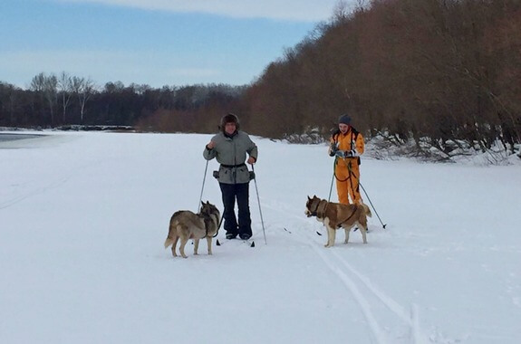 Зображення екскурсія трекінг з Хаскі