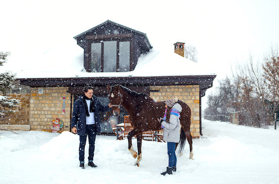 Зображення поїздка в Питомник з Києва