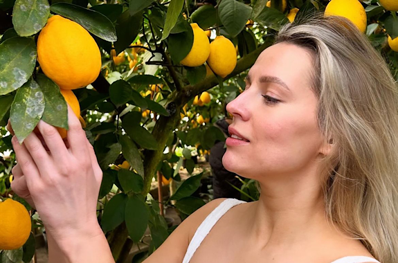 Малюнок лимонарій