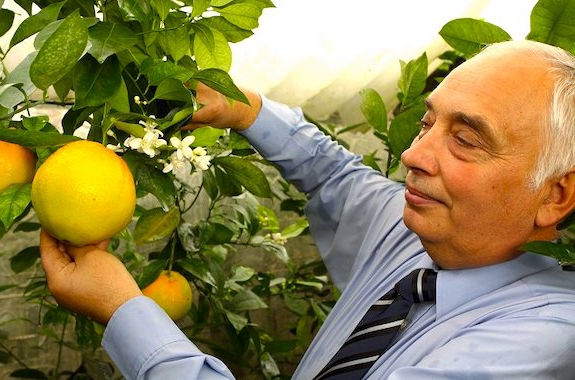 Фото ферма бананов экскурсия