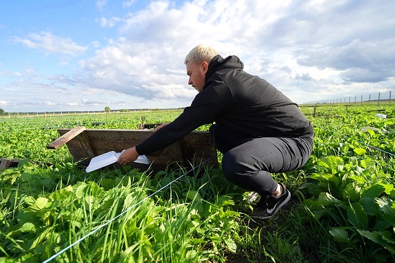 Картинка экскурсия на ферму улиток