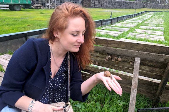 Зображення поїздка на равлики