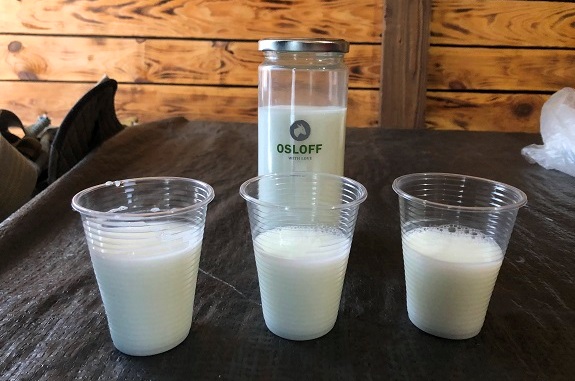 Фото екскурсії з Києва