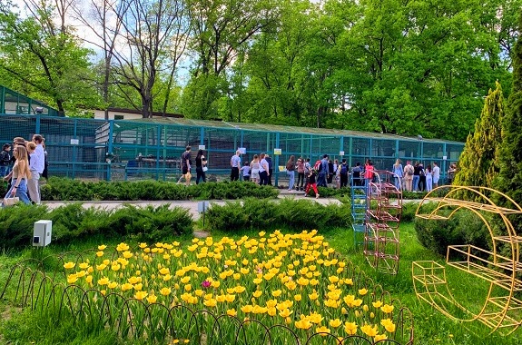 Картинка тур на парад Тюльпанов из Днепра