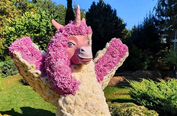 Бал хризантем у парку Фельдмана