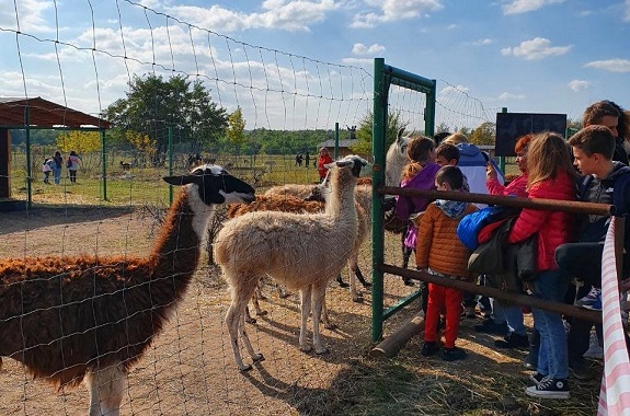 Картинка экскурсия в Фельдман экопарк