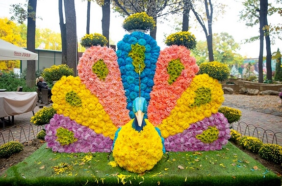 Екскурсія до парку Фельдмана