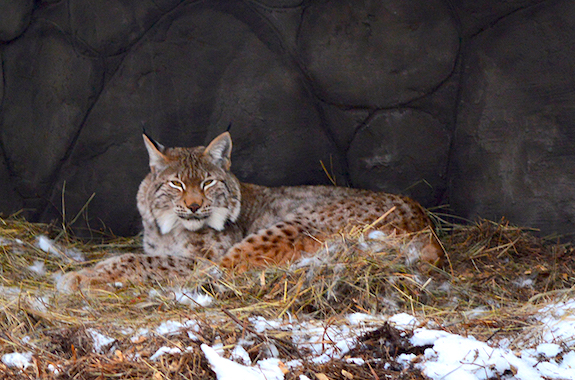 Фото экскурсия в Беремицкое из Киева