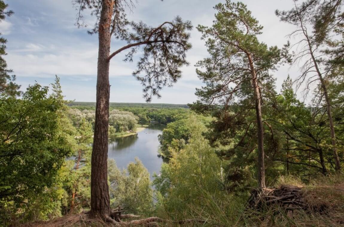 Козача гора Харків