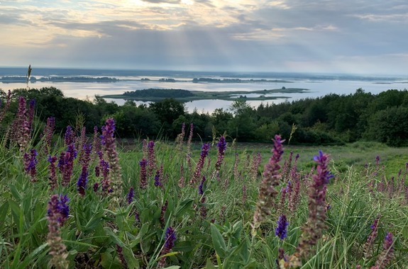Васильківські Карпати