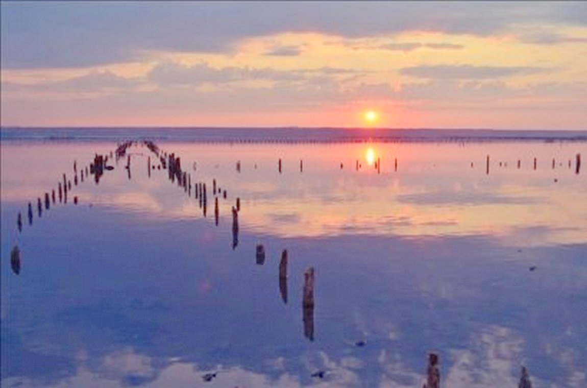 Куяльницький лиман