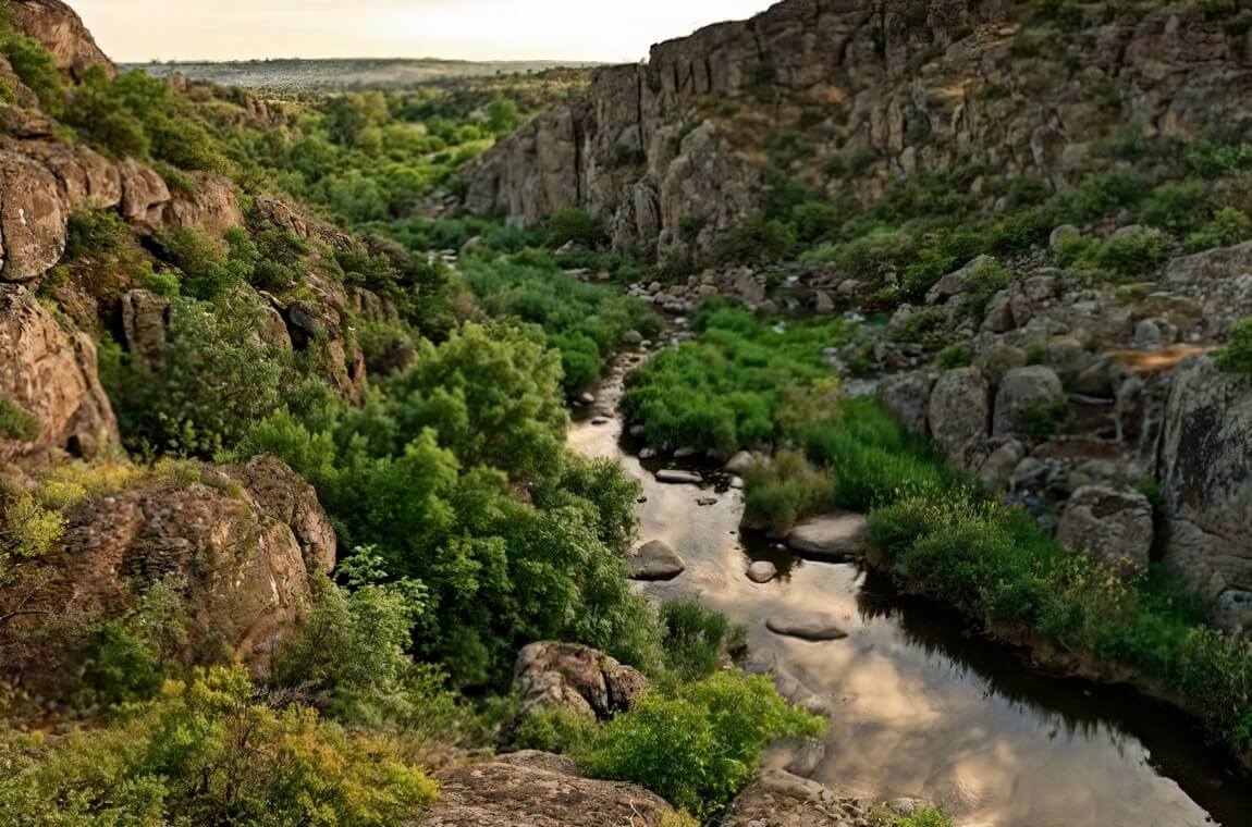 лес Скаржинского