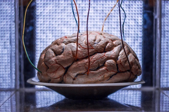 Зображення екскурсія в музей медицини