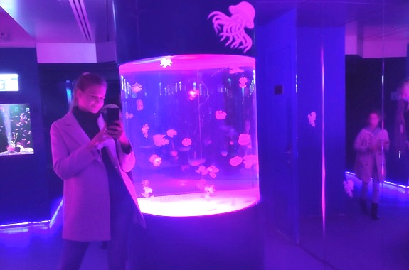 Зображення екскурсія для школярів з Києва