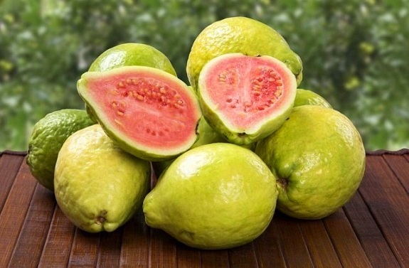 Фото поїздка в оранжерею для школярів