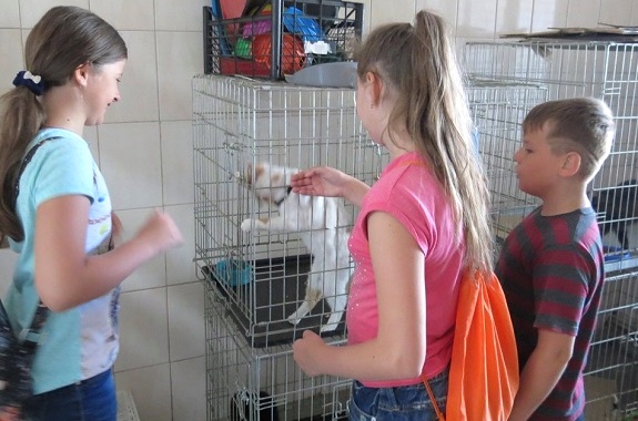 Малюнок екскурсія в розплідник