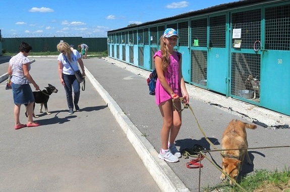 Фото поїздка в розплідник для школярів
