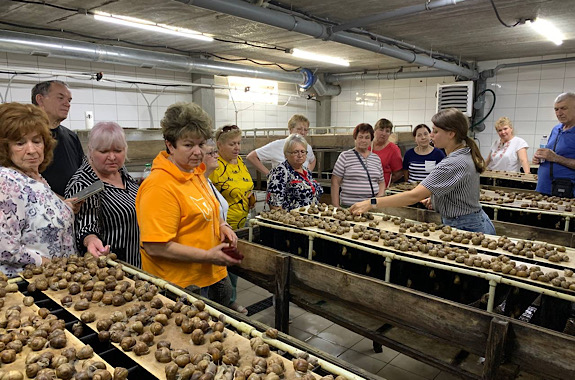 Картинка дегустація равликів