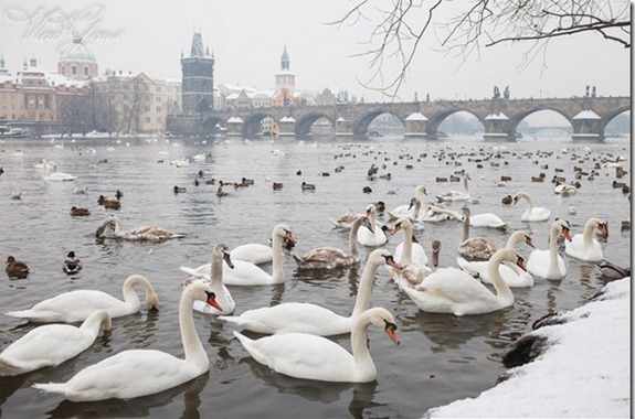 Картинка влалтва