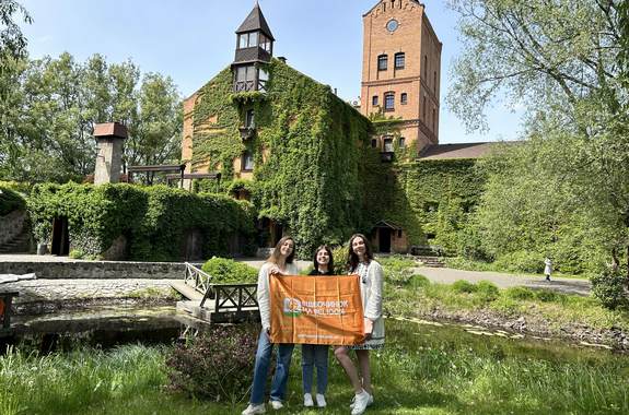 Картинка замок Радомисль