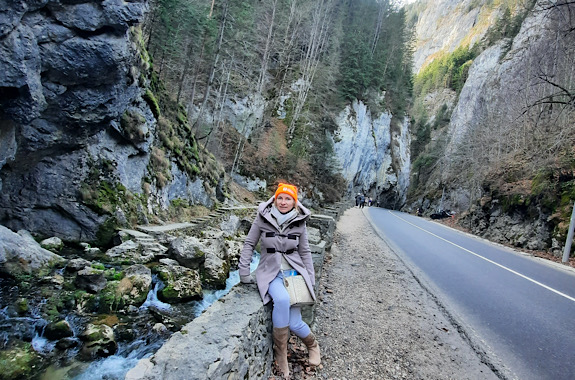 Картинка ущелина Біказ