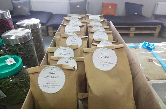 Картинка экскурсия в питомник растений для школьников