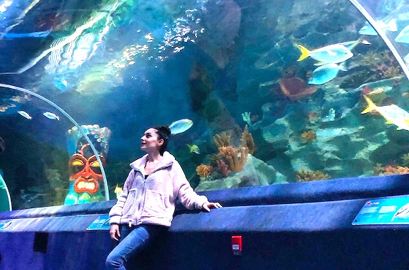 Зображення акваріум у Стамбулі