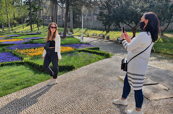 Картинка цвітіння тюльпанів