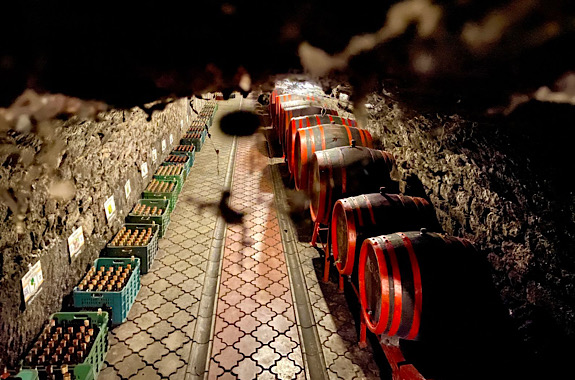 зображення Закарпатська виноробня