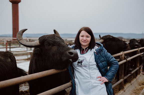 Карпатський буйвол ферма