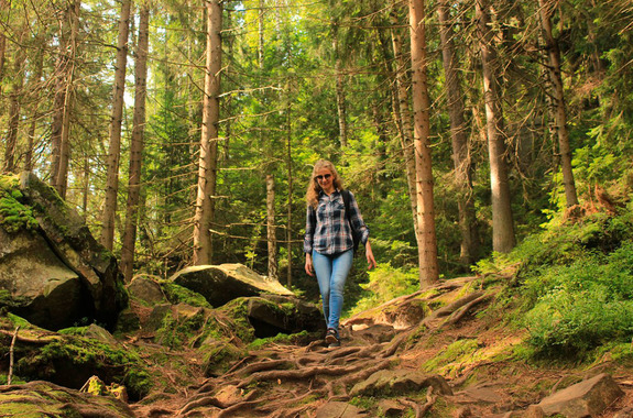 Картинка стежка Довбуша