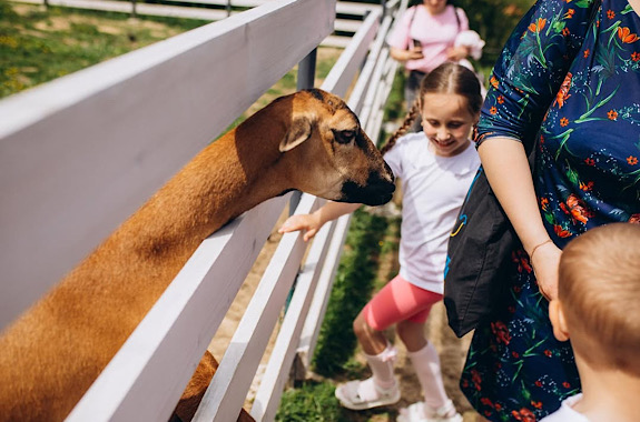 Картинка парк земли