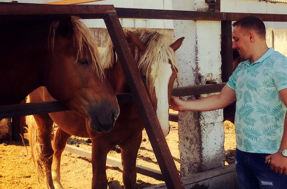 Картинка фотосессия на конном клубе