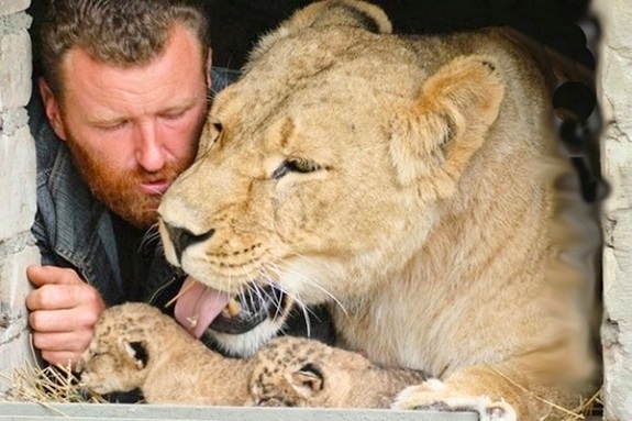 Зображення поїздка в домашній зоопарк тигрів