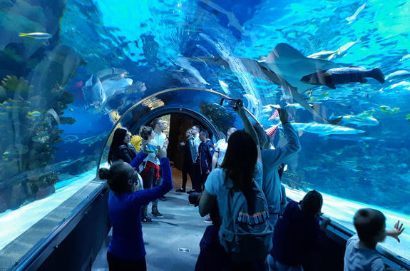 Картинка тур в Тропикарий Будапешт