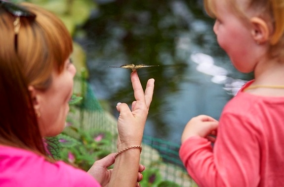 Екскурсія на виставку метеликів для школярів із Києва
