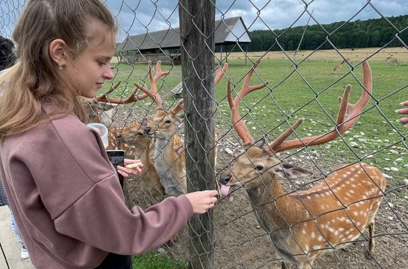 Картинка парк 