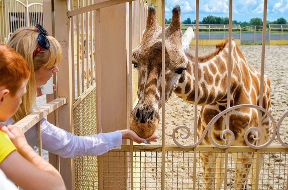 Фото екскурсія до зоопарку для школярів з Києва