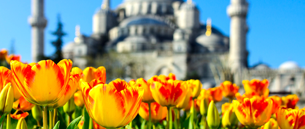 Куди поїхати на травневі свята 2021 року з Харкова