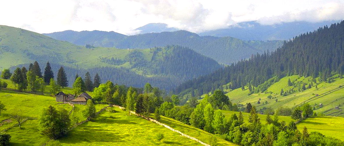Що подивитися у Карпатах влітку? Куди поїхати до Карпат влітку?